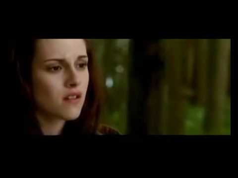 Imagen de previsualización de YouTube