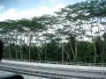 videos de double decker bus  & a flying kiss!