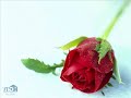 Dil Vich Rehan Waliye