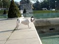 Vanille au jardin du Trocadéro