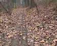 Rundgang über die Anlage der Dampfbahn Leverkusen