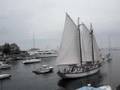 Schooner Appledore Leaves Camden under sail.