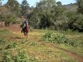 Correndo de cavalo! bah Tche!! Nao so gaucho + curto..INTER!