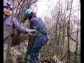 allegri speleologi 1 allegri speleologi 1