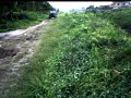 4WD West Kalimantan 3