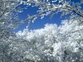 Winter Vivaldi -4 Jahreszeiten