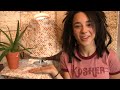 20 Things To Do With Matzah