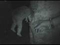 videos de La Peda Legendaria: Vikingo´s Party (Parte 1)