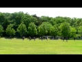 Click here to watch this video 全日本選手権 ｖｓクラーク７