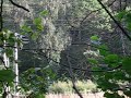 3,3 kV catenary short circuit (?? ? ?????????? ???? 3,3 ??).