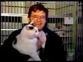Eh! Gato -CualCerdo-