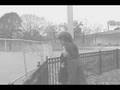 UA_Music_Video