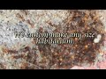 Click here to watch this video Colony Sizes