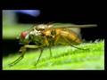 Canon 400D TV commercial
