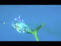 Dorado Hunters Dorado Hunters