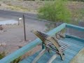 Roadrunner and Roadrunner