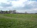 videos de kreidler cross Hoornsterzwaag 2008