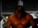 Triple H Tribute 3
