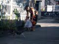 irish walking