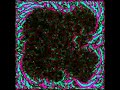 Artificial life and multiagent systems