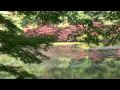 09.10.28 神戸市立森林植物園 : 快晴の天気に恵まれ広大な公園内を、紅葉の絶好ポイントを求めて歩き、見ごろの紅（黄）葉を撮影しました。