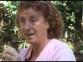 Ayahuasca na Amaz�nia Boliviana - Ayahuasca in The Amazon