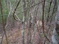 carters lake dh, dave goes down on the hardtail