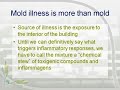 Is Mold Making You Sick?