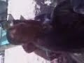 khadara dila7 wo bitikh