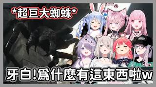 全員尖叫恐懼!Holo眾人遇到『超巨大蜘蛛』反應合集:拜託你別過來啊w【獅白牡丹/森美聲/Reine/櫻巫女/博衣小夜璃/兔田佩克拉/Koseki Bijou 】【hololive精華/生化危機9】 全員尖叫恐懼!Holo眾人遇到『超巨大蜘蛛』反應合集:拜託你別過來啊w【獅白牡丹/森美聲/Reine/櫻巫女/博衣小夜璃/兔田佩克拉/Koseki Bijou 】【hololive精華/生化危機9】