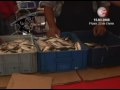 COORDINADORA SIMÓN BOLÍVAR TRAE LA FERIA DEL PESCADO EN EL 23 DE ENERO