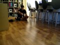videos de Puppy Maximus Learns to Play Fetch - 4