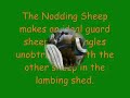 Nodding Sheep as a guard sheep