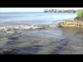 Tsunami Hawaii (Aina Haina) - March 11, 2011