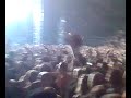 Lenny Kravitz, Arena - Beograd