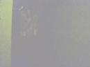 Randy Orton v/s Undertaker Opening