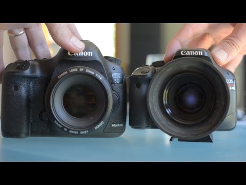 T2i - http://www.learningdslrvideo.com/5d-mark-iii-vs-t2i-550d/ Before I start shooting with the Canon 5D mark III a lot I wanted to see how it relates to my 2 yea...