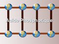 tpe police scientifique 2.html
