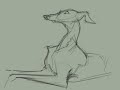 1/6- JoeBluhm paints an Animal 1/6- JoeBluhm paints an Animal