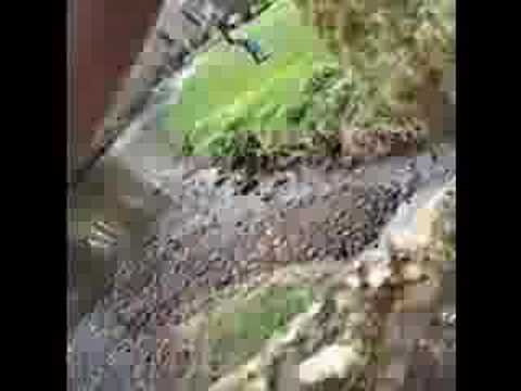 James Harrington meets the river