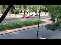 Uruguay, mujer con auto roba flores del ornato público