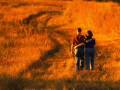Terry Jacks - If You Go Away