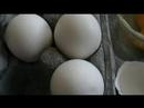 170 HOW TO USE METHIA MASALA WITH EGGS
