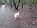 V021208_09.42.3gp V021208_09.42.3gp