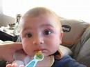 arman