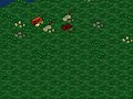 Battle of the Island
