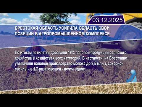 Новостная лента Телеканала Интекс 03.12.25.