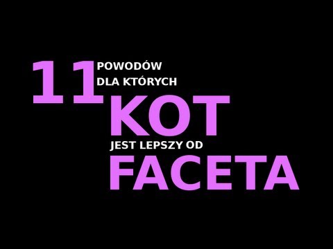 11 powodów dla których kot jest lepszy od faceta