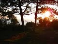 pleasant and beautiful composition from kosmonaut enjoy!