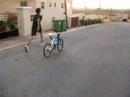 Joe Biking